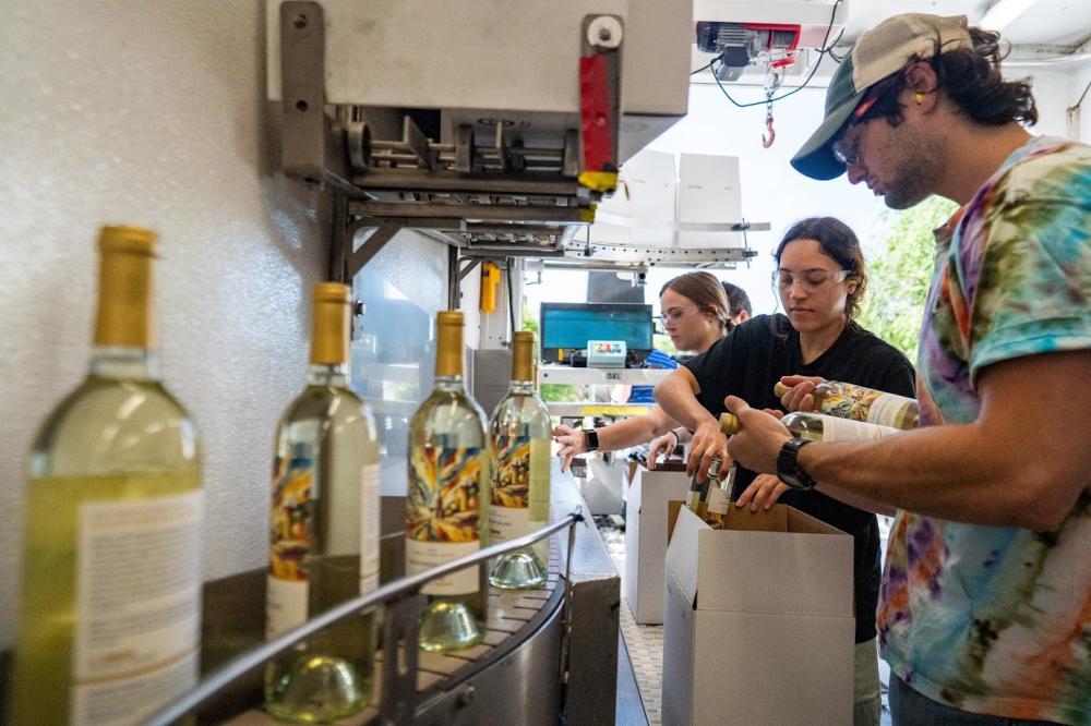 Students in the 127L V&E class box freshly bottled and labeled 2024 Sauvignon Blanc from UC Davis Winery.