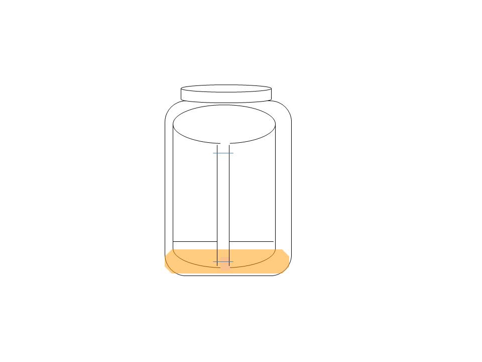 Figure 2: Paper Chromatography Jar Set Up