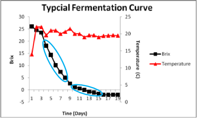 typical fermentation curve