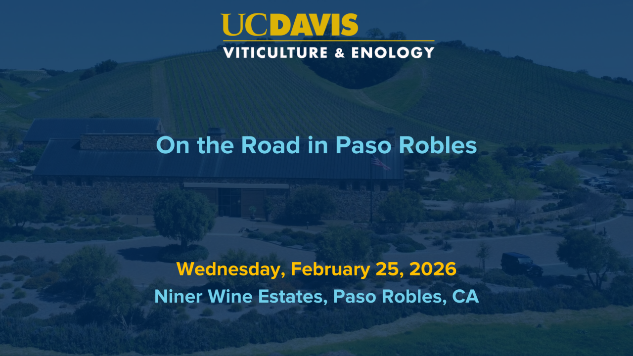 On the Road in Paso Robles