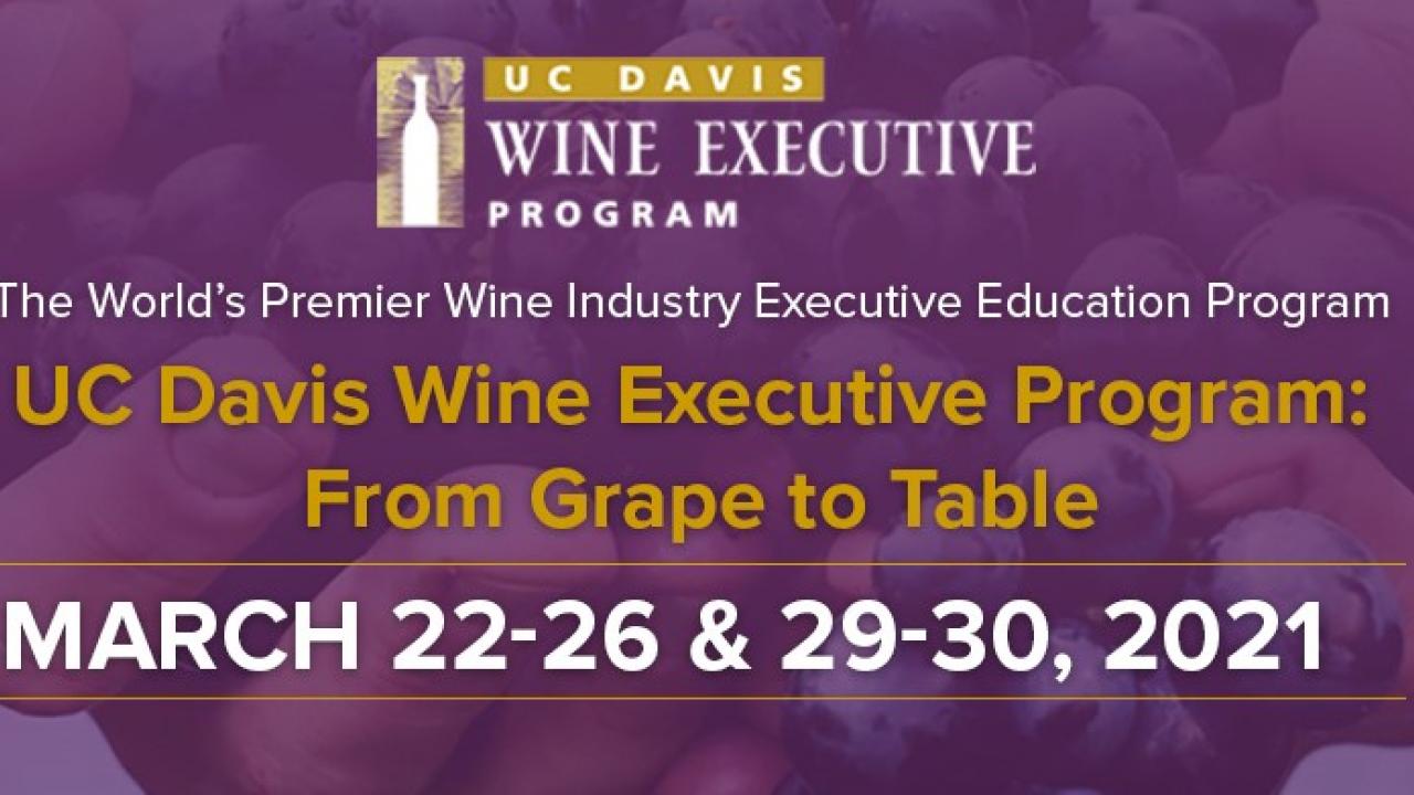 Wine Exec Program 2021