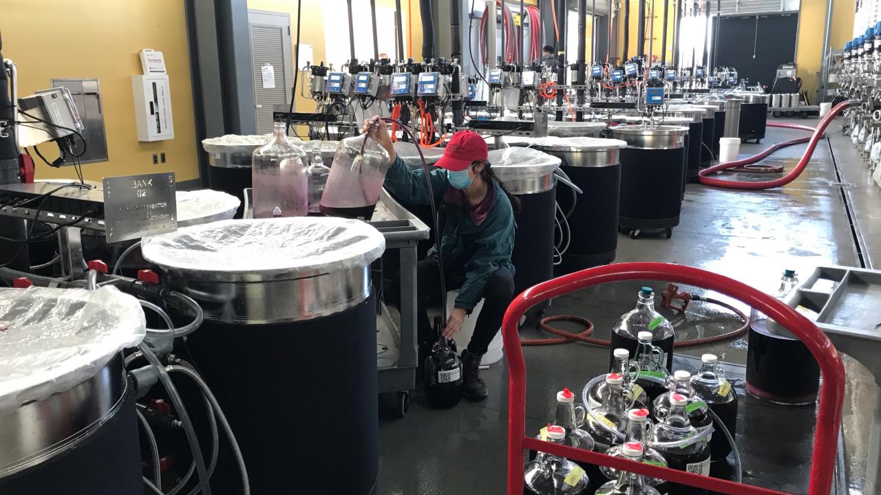 Winery pic