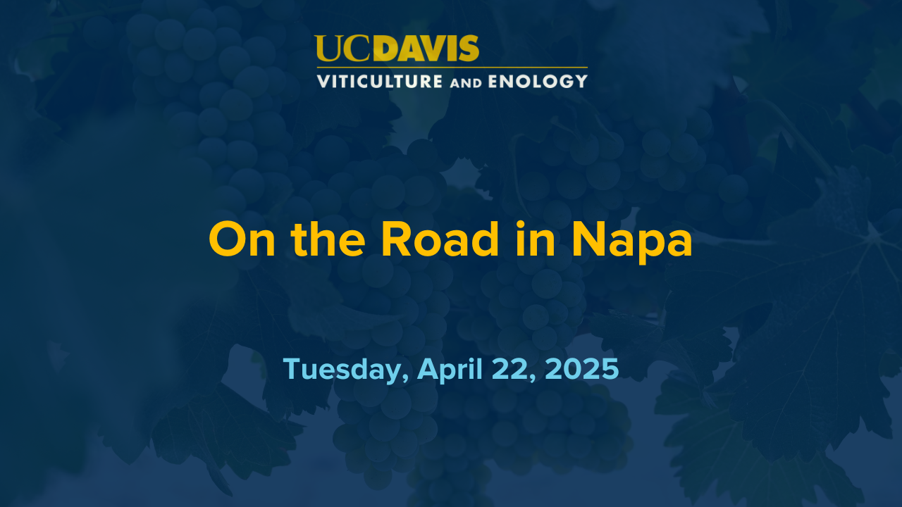 On the Road in Napa, April 22, 2025