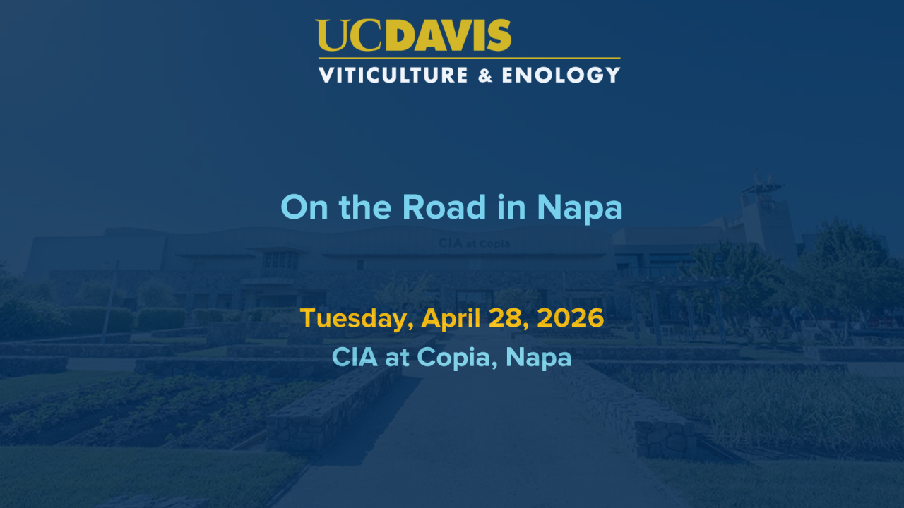 On the Road in Napa