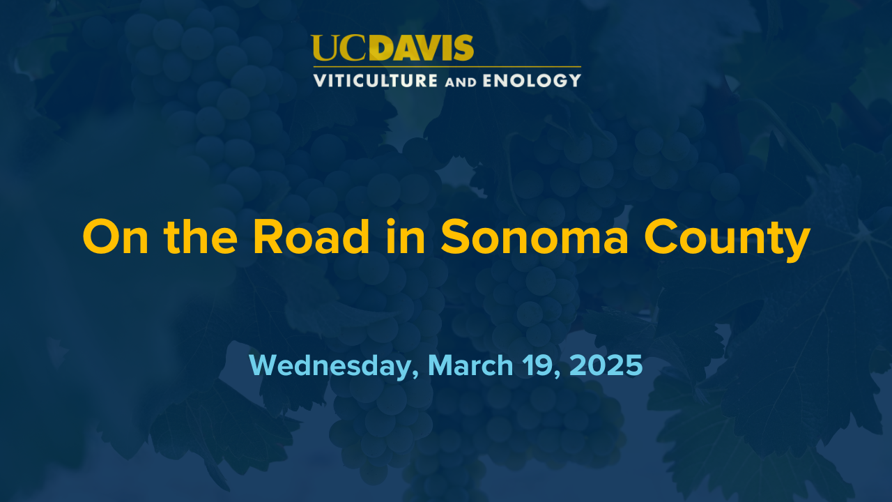 On the Road in Sonoma County, March 19, 2025