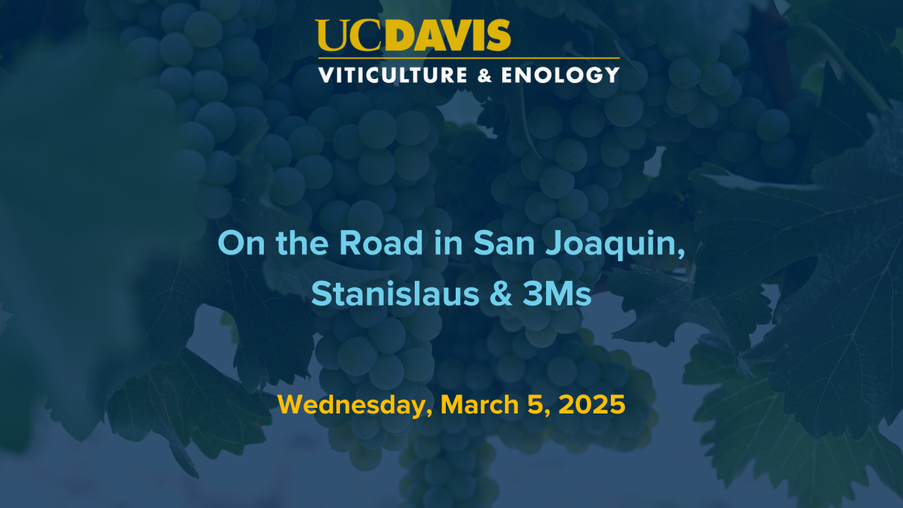 On the Road in Stanislaus, 3Ms, Stockton, March 5, 2025