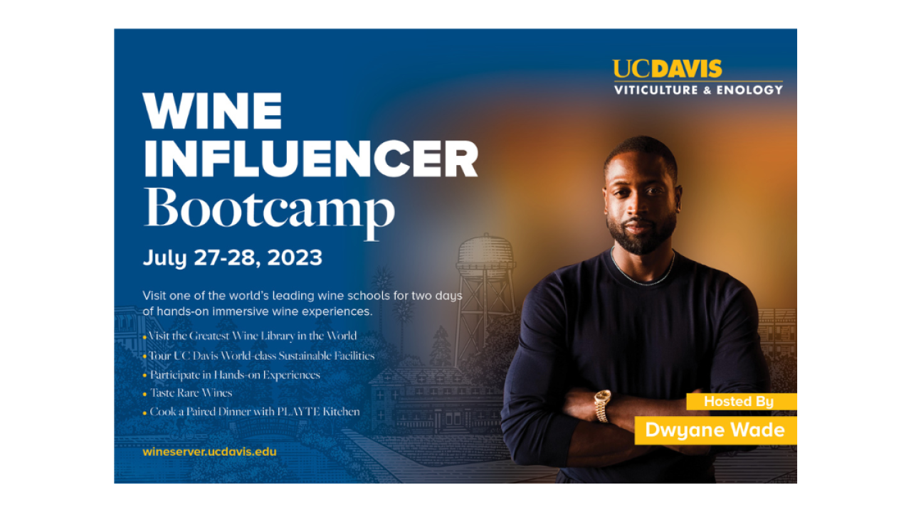Bootcamp image