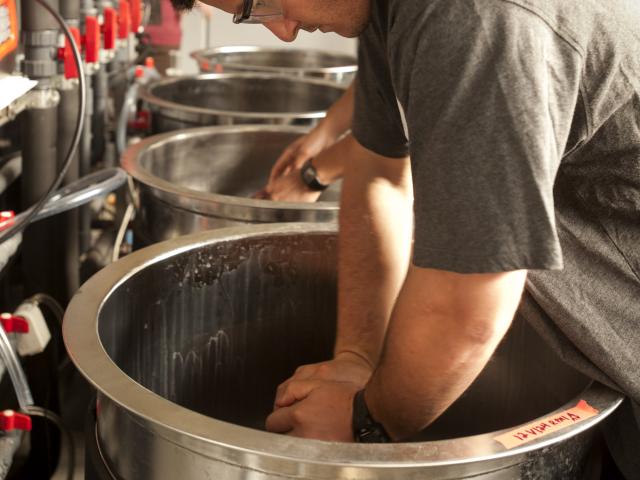 Student working at the brewery