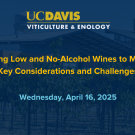 April, 16 2025 -  Bringing Low and No-Alcohol Wines to Market