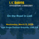 On the Road in Lodi